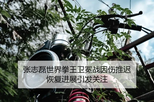 张志磊世界拳王卫冕战因伤推迟 恢复进展引发关注