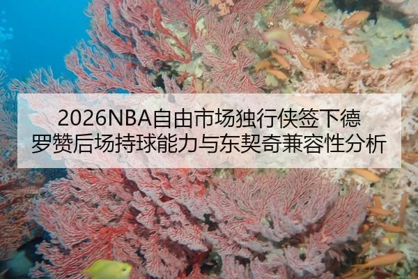 2026NBA自由市场独行侠签下德罗赞后场持球能力与东契奇兼容性分析
